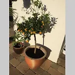 Apartamento Frisch Renovierte Auf Idyllischem Pferdehof